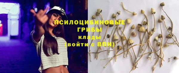 тгк Алзамай