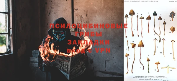 спиды Алексин