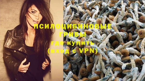 соль курить ск Алексеевка