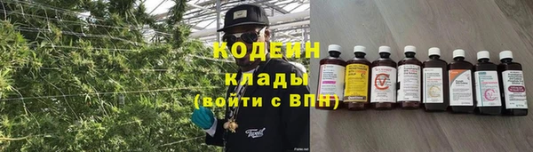 тгк Алзамай