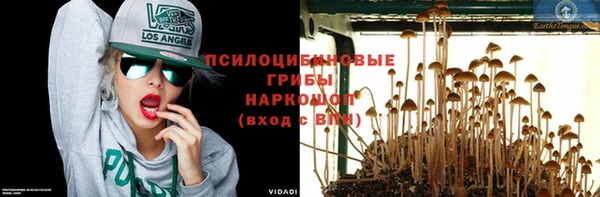 соль курить ск Алексеевка
